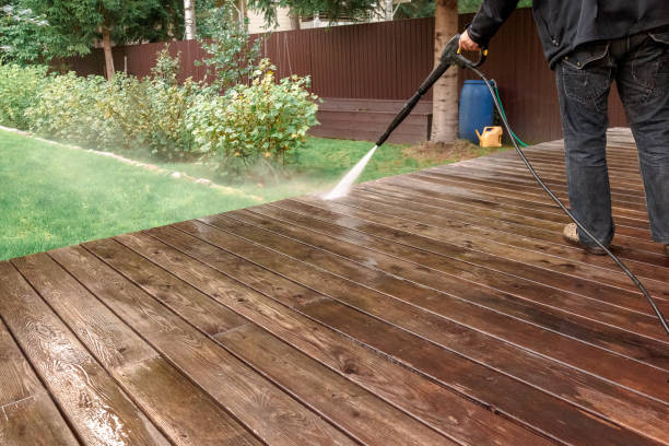 Best Solar Panel Cleaning  in Clarinda, IA